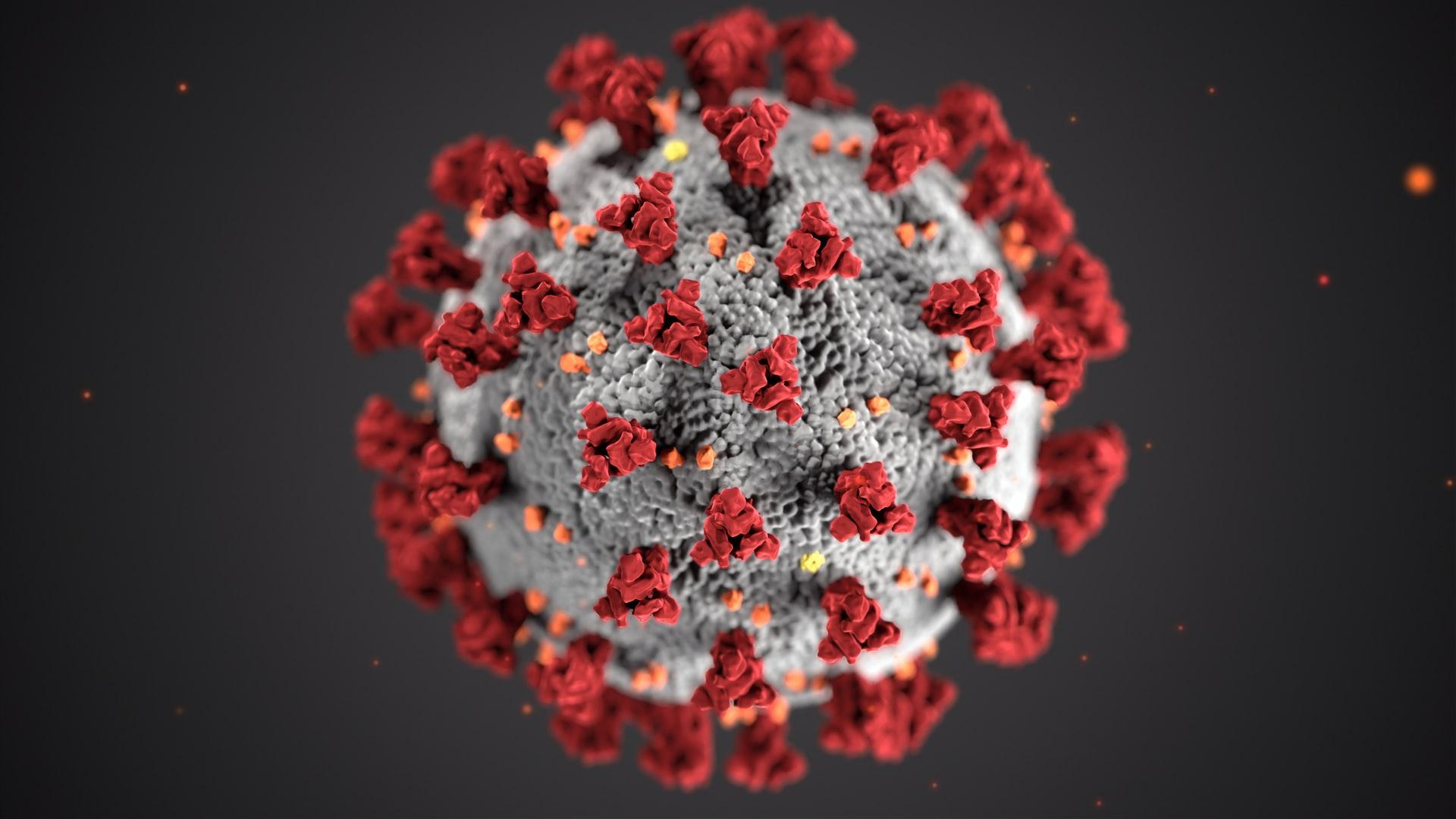 virus-extented